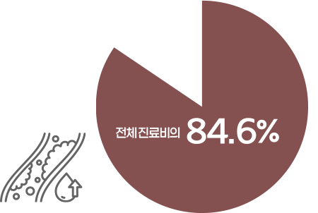 만성질환 진료비 그래프