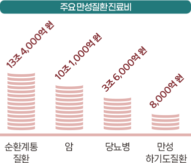 주요만성질환 진료비 그래프
