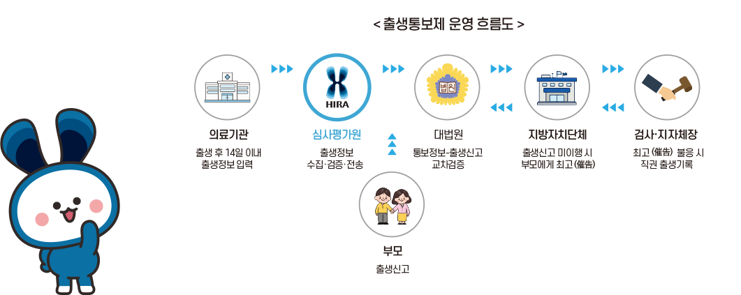 출생통보제 운영 흐름도