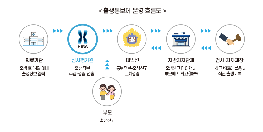 출생통보제 운영 흐름도