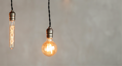 랜선 주치의 이미지